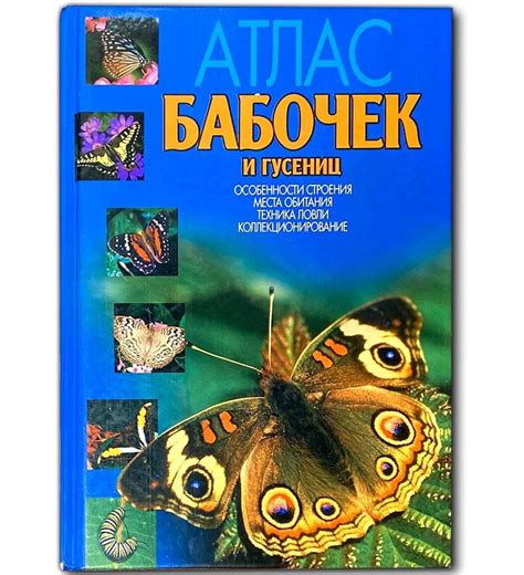 Подготовка места для удобного проживания гусениц
