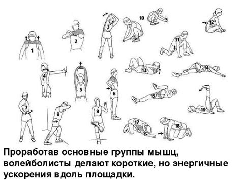 Подготовка мышц перед тренировкой