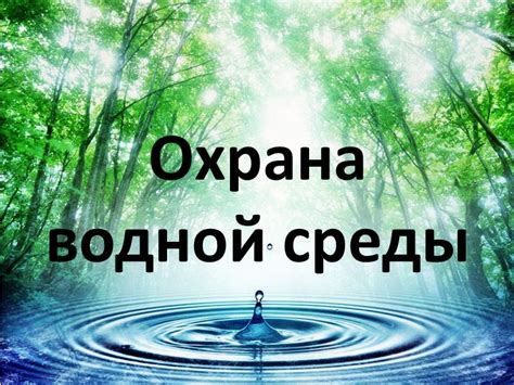 Подготовка подстилки и водной среды