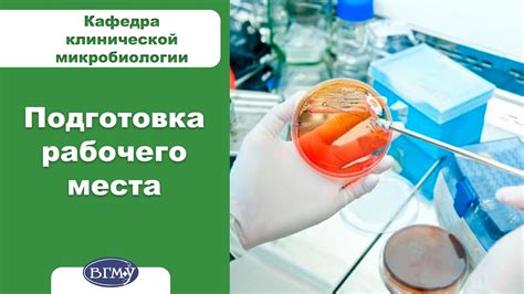 Подготовка рабочего места и китайского блендера