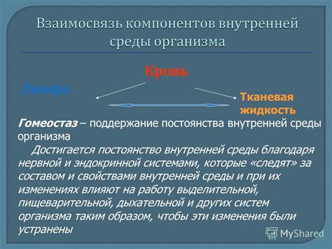 Поддержание внутренней среды