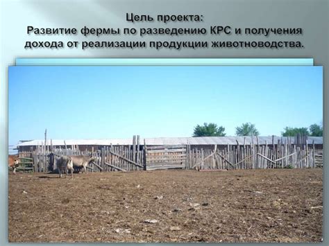 Поддержание и развитие фермы