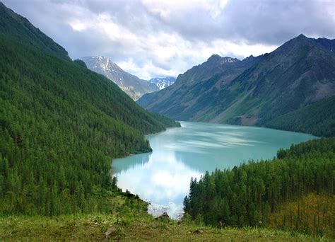 Поддержание красоты природы