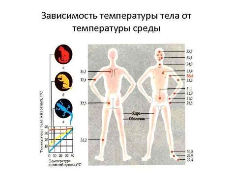 Поддержание оптимального уровня громкости сигнала