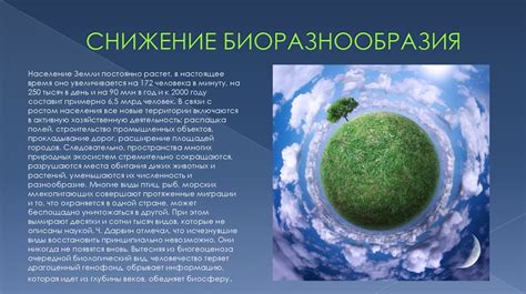 Поддержание сбалансированного растительного биоразнообразия