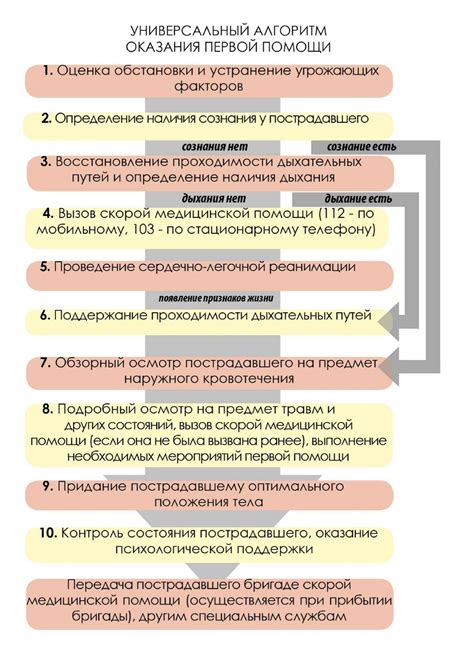 Поддержка и инструменты для оказания помощи узникам в достижении права на управление автомобилем