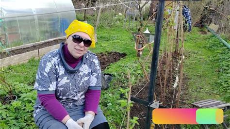 Подкормка и полив – залог обильного урожая