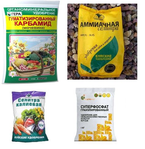 Подкормка и удобрение ялок для плодоношения