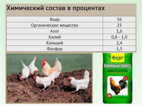 Подкормка настоем куриного помета: основы и преимущества