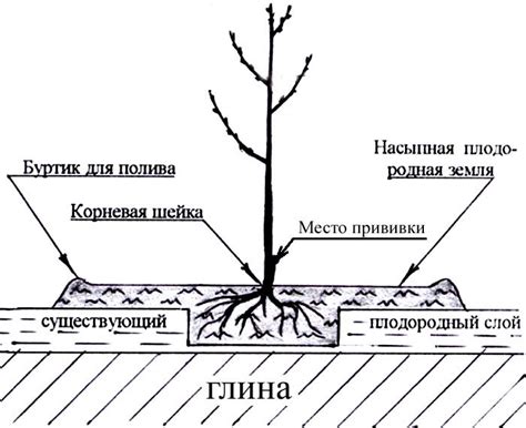 Подходящие условия для посадки