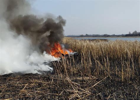 Пожары в Сиде: угроза для окружающих