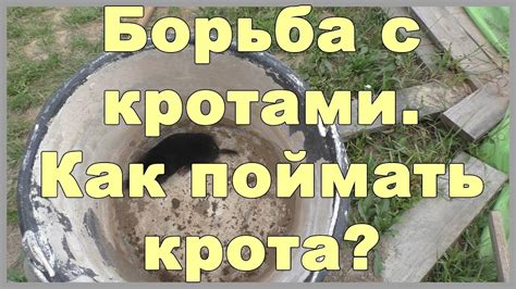 Позаботьтесь о площадке для крота