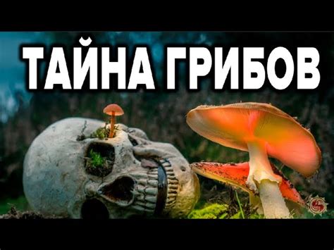 Позиция врачей о промывке грибов
