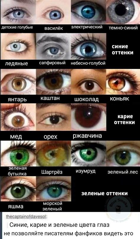 Позиция генетиков относительно голубых глаз у цыган
