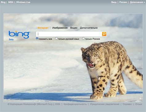 Поисковая система Bing