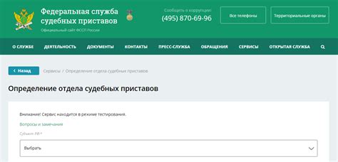 Поиск информации в базе Федеральной службы судебных приставов