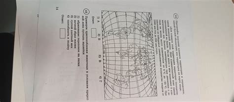Поиск перепонок на лапах