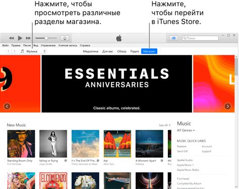 Покупка и загрузка медиа-контента в iTunes Store