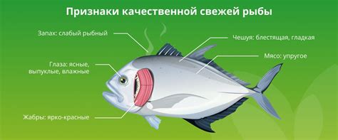 Покупка качественной свежей рыбы