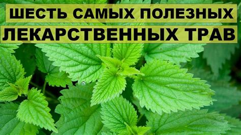 Полезные и полезные свойства