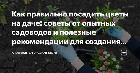 Полезные рекомендации и советы для удобства использования