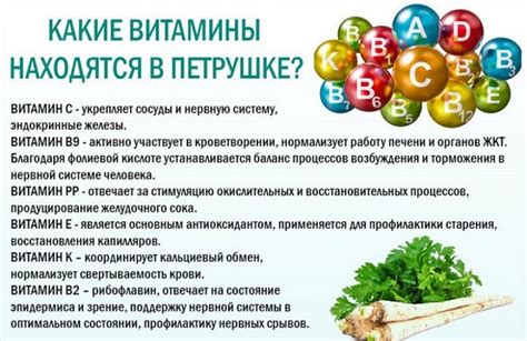 Полезные свойства и витаминный состав