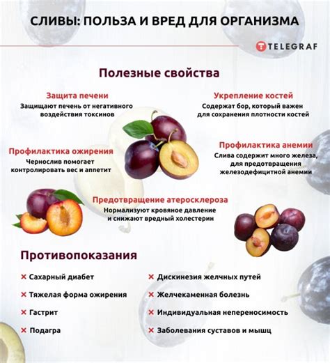 Полезные свойства и питательность сливы