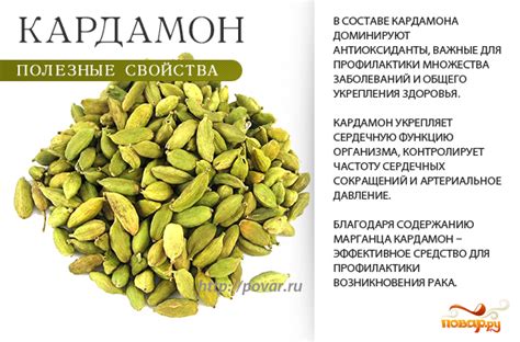 Полезные свойства кардамона для организма