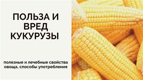 Полезные свойства кукурузы и молока