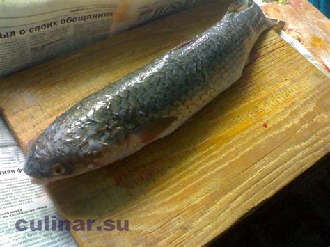 Полезные свойства рыбы во время поста
