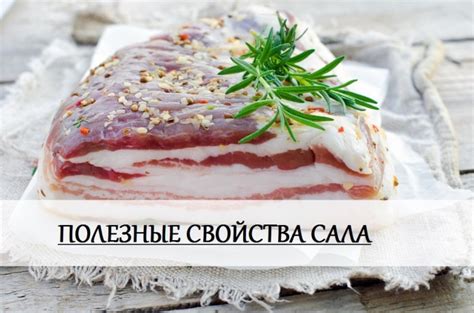 Полезные свойства соленого сала