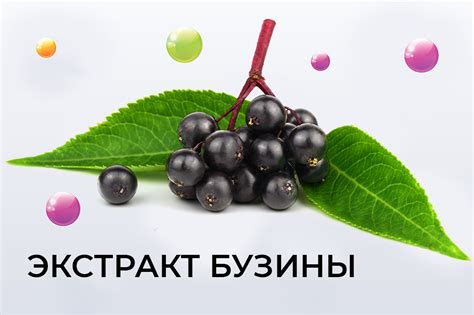 Полезные свойства цоколя: