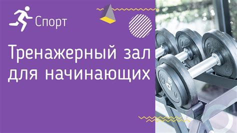 Полезные советы для начинающих