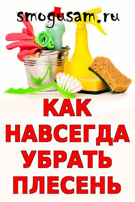 Полезные советы по избавлению от навязчивых ботов в Дискорде