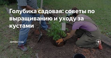 Полезные советы по эксплуатации и уходу за циркуляркой из собственного производства