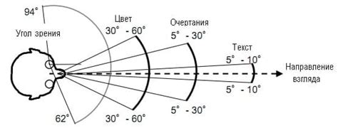 Поле зрения