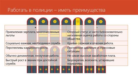 Полиция: основной исполнитель порядка