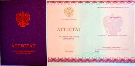 Получение аттестата о занятиях спортом: почему это значимо