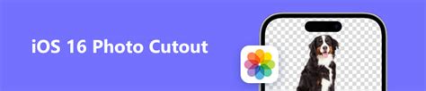 Получение великолепных фотографий на iOS: подробное руководство по установке фотокамеры от Google