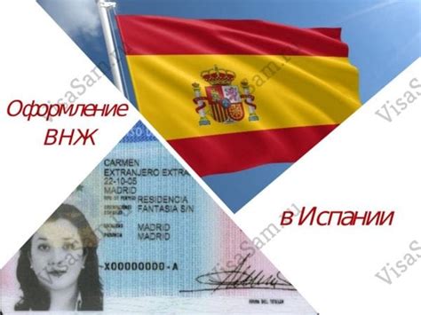 Получение виды на жительство в Испании