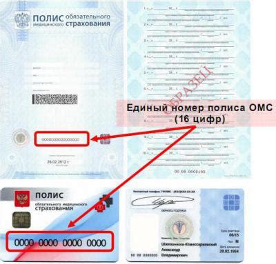 Получение имени и фамилии сотрудника полиции по номеру жетона