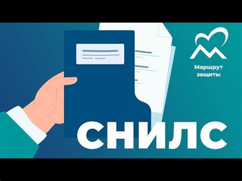 Получение и оформление СНИЛС и ИНН в Республике Казахстан: требования и процедуры