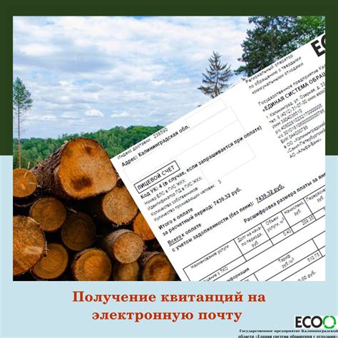 Получение копии билета на электронную почту