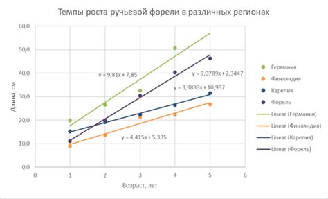 Получение точного значения длины линии