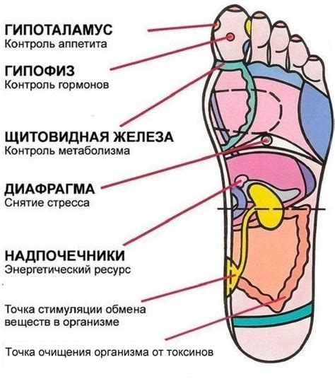 Польза для здоровья стоп