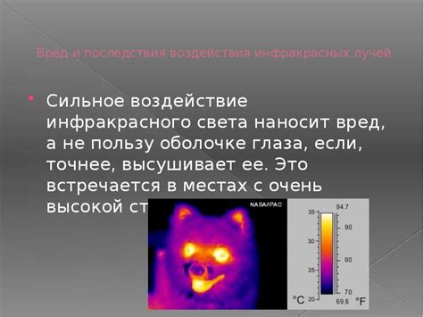 Польза инфракрасных устройств