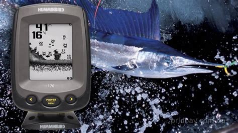 Польза использования Humminbird 170 на Yamaha