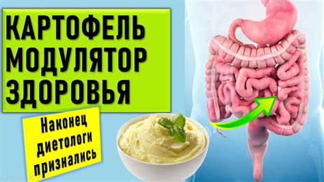 Польза и вред картошки в салате