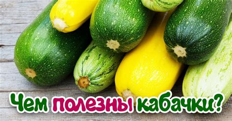 Польза кабачков для кур-несушек