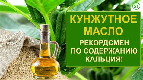 Польза кунжутного масла для носа